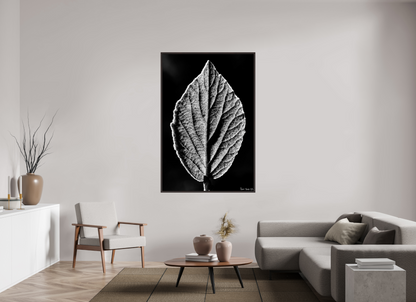 44 x 66″, Floater Frame Alder Brown Eclipse