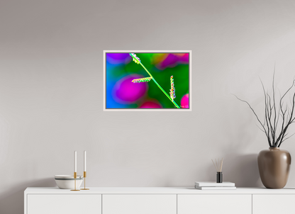 24 x 16″, Floater Frame Maple White Technicolor Vibes