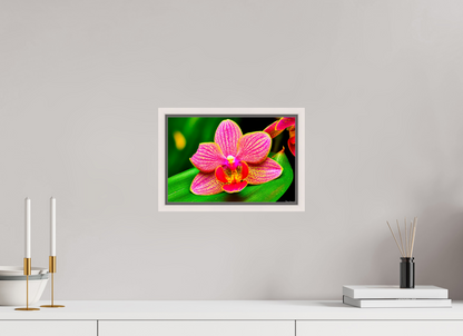 12 x 8″, Floater Frame Maple White Vigorous Orchid