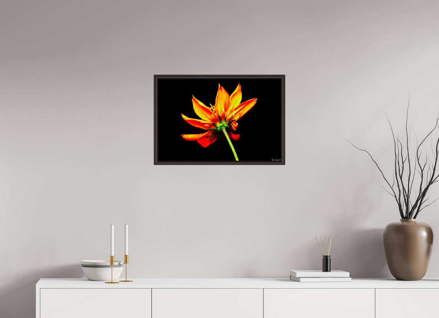24 x 16″, Floater Frame Alder Brown Soaring Phoenix