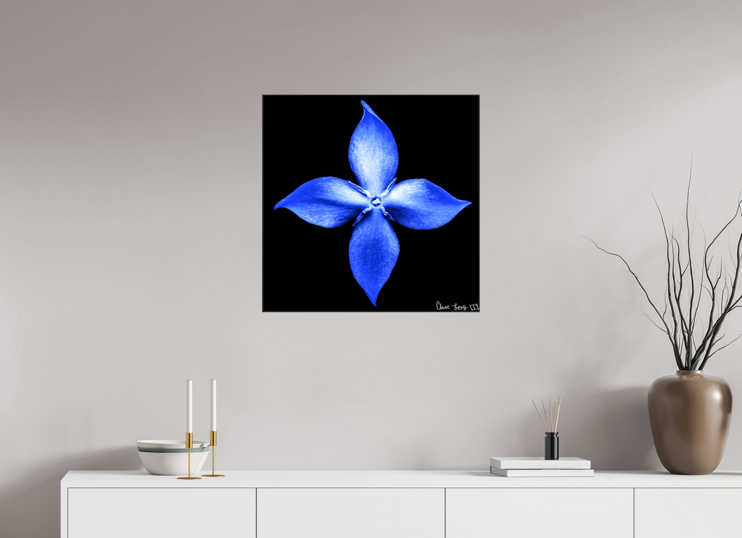 25 x 25″, Glossy Canvas Halcyon Compass