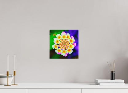 10 x 10″, Direct Print on Aluminum Dibond Default Quintessence