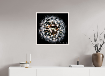 25 x 25″, Floater Frame Maple White Starburst