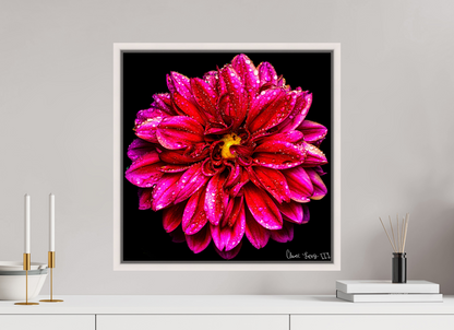 20 x 20″, Floater Frame Maple White Droplets Galore