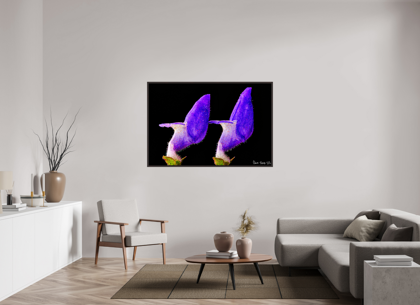 60 x 40″, Floater Frame Alder Brown Coleus Barbatus