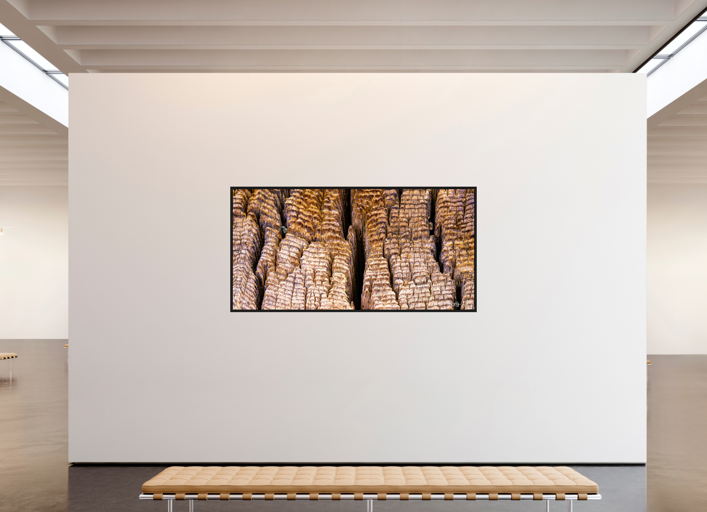 86 x 43″, Floater Frame Black Oak Fissure