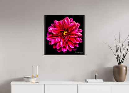 25 x 25″, Floater Frame Black Oak Droplets Galore