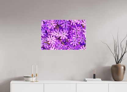 30 x 20″, Glossy Canvas Lavender Moss Phlox