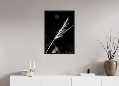 20 x 30″, Floater Frame Black Oak Frayed