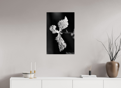 20 x 30″, Glossy Metal Dragon’s Ascent