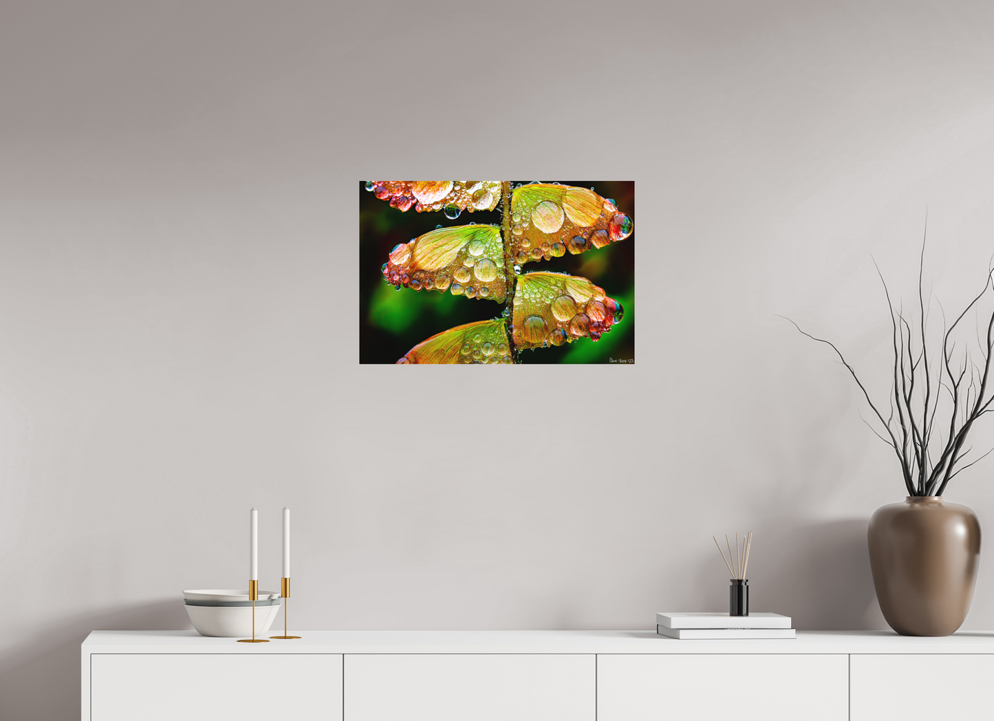 24 x 16″, Forex Monarch’s Abundance