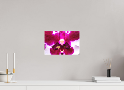 12 x 8″, Matte Canvas Droid Orchid