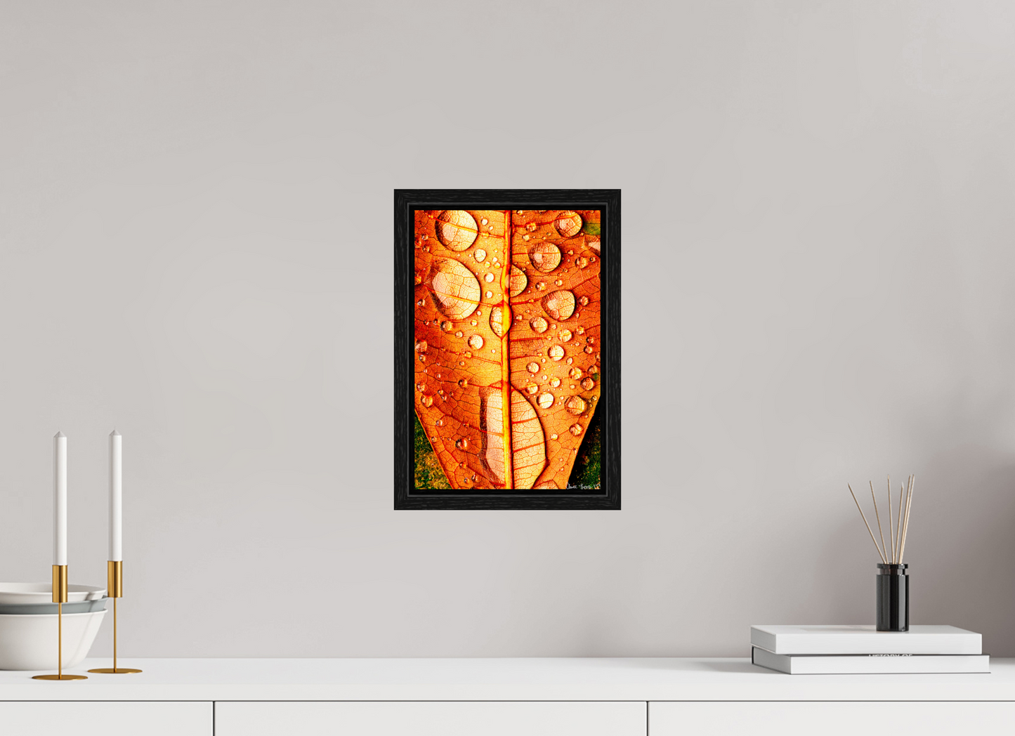 8 x 12″, Floater Frame Black Oak Transparency