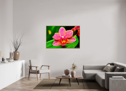 54 x 36″, Floater Frame Natural Oak Vigorous Orchid