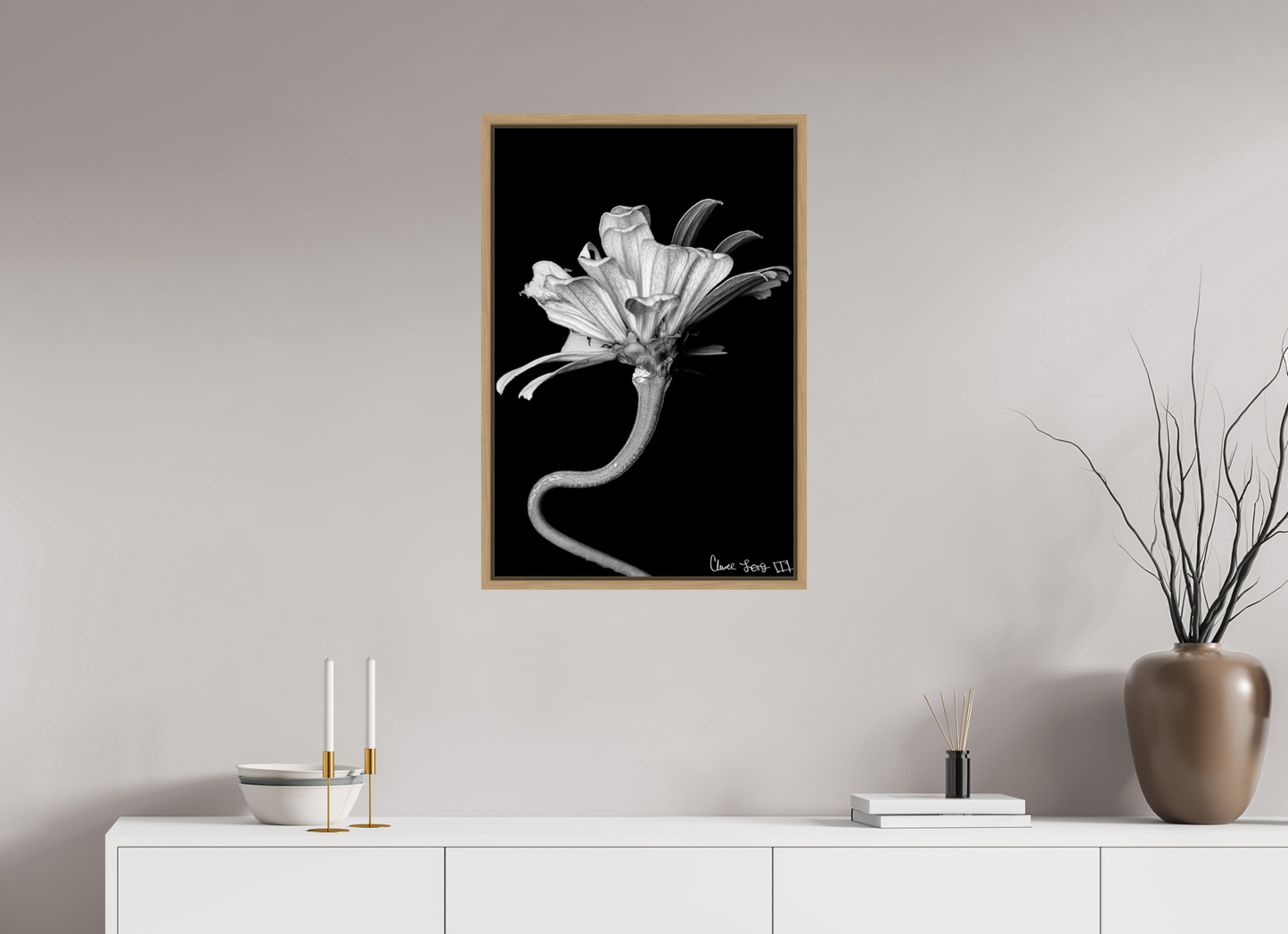 20 x 30″, Floater Frame Natural Oak Kingsnake’s Florescence