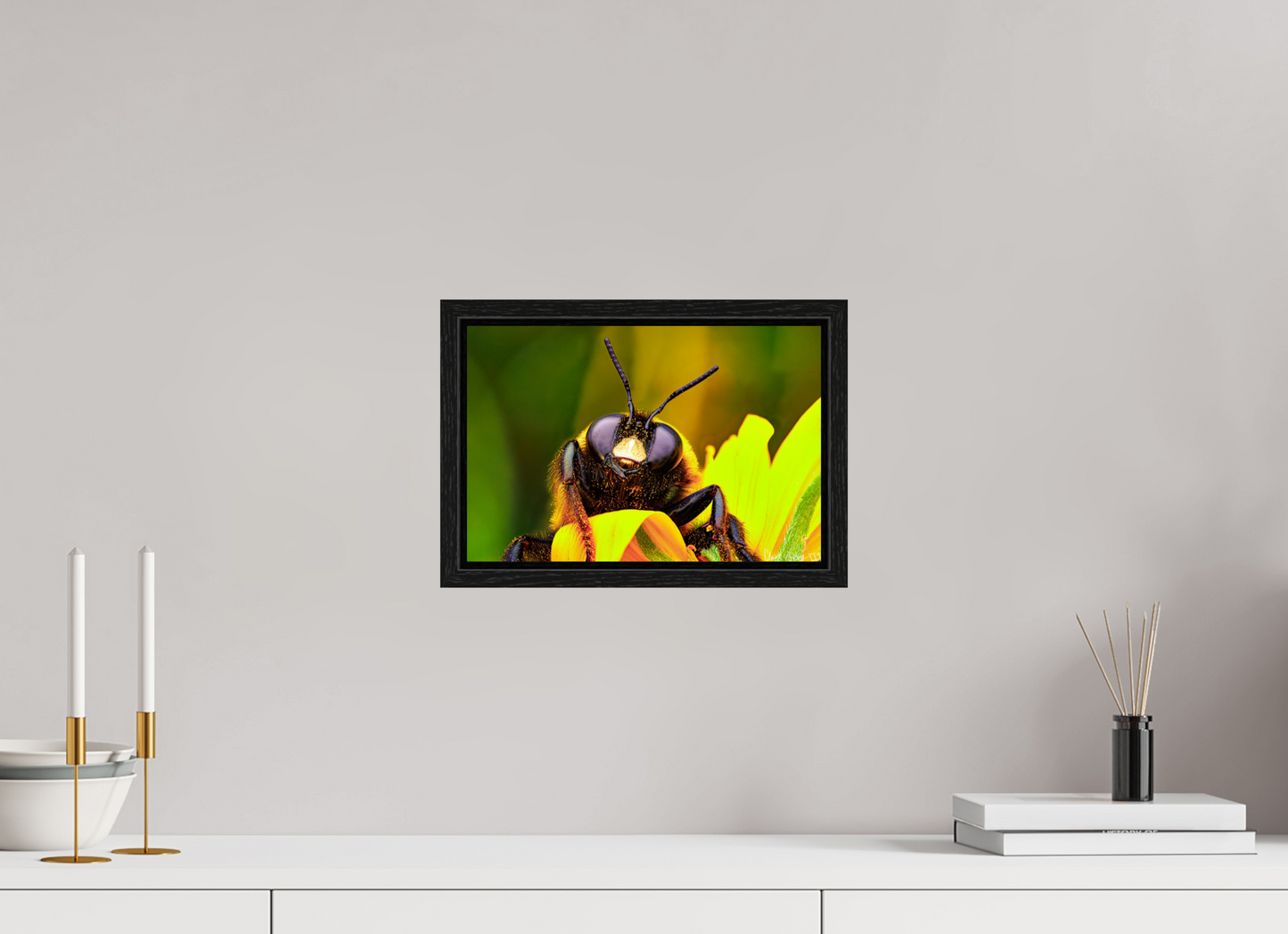 12 x 8″, Floater Frame Black Oak The Curious Bumblebee