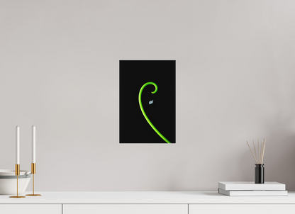 8 x 12″, Matte Canvas Golden Ratio