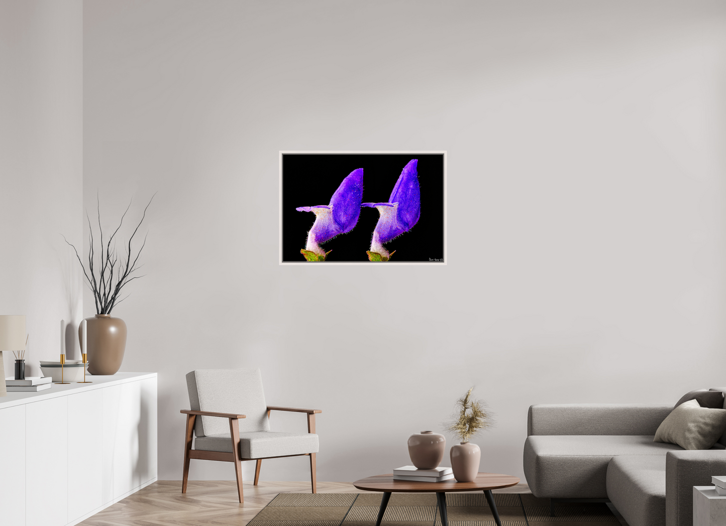 36 x 24″, Floater Frame Maple White Coleus Barbatus