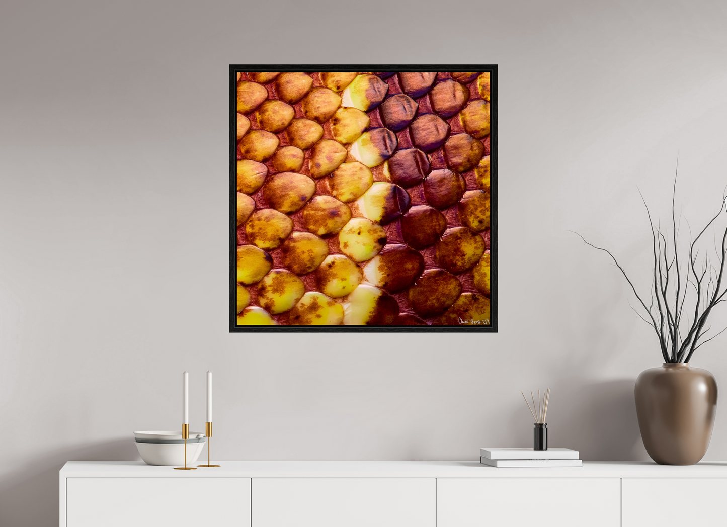 30 x 30″, Floater Frame Black Oak Reptilian Divide