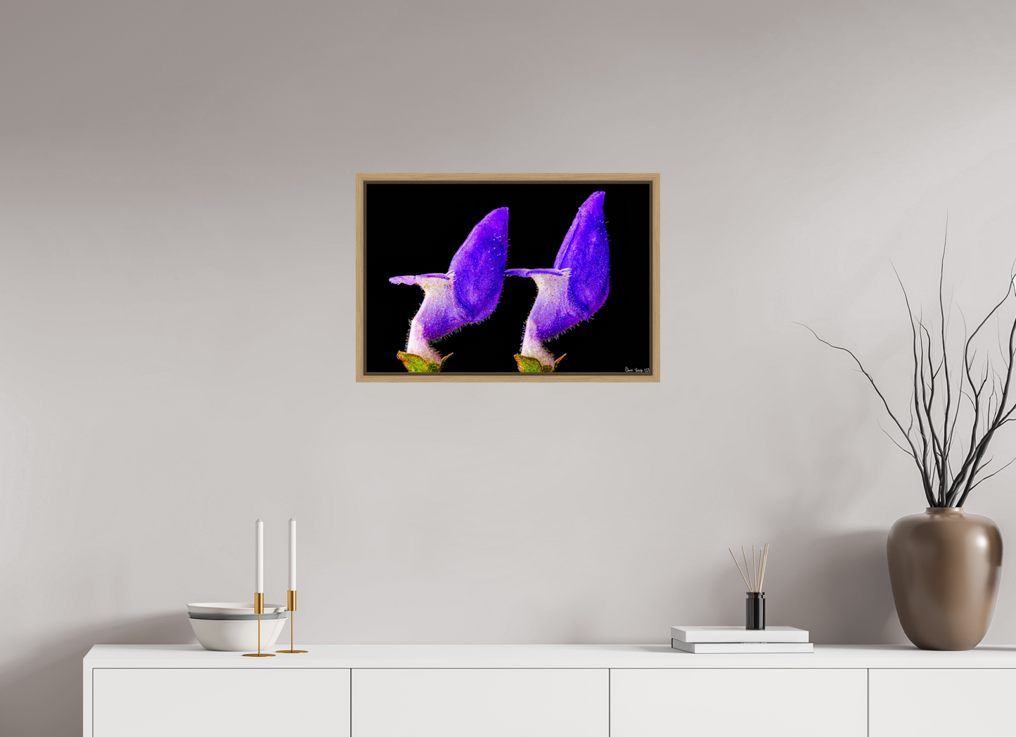 24 x 16″, Floater Frame Natural Oak Coleus Barbatus