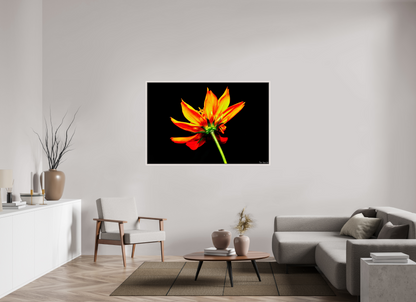 60 x 40″, Floater Frame Maple White Soaring Phoenix