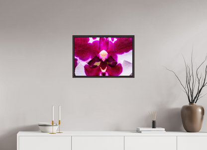 24 x 16″, Floater Frame Alder Brown Droid Orchid