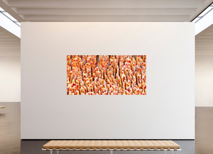 94 x 47″, Photo Print on Aluminum Backing Inescapable Decay