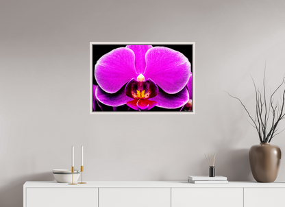 30 x 20″, Floater Frame Maple White Magnificence