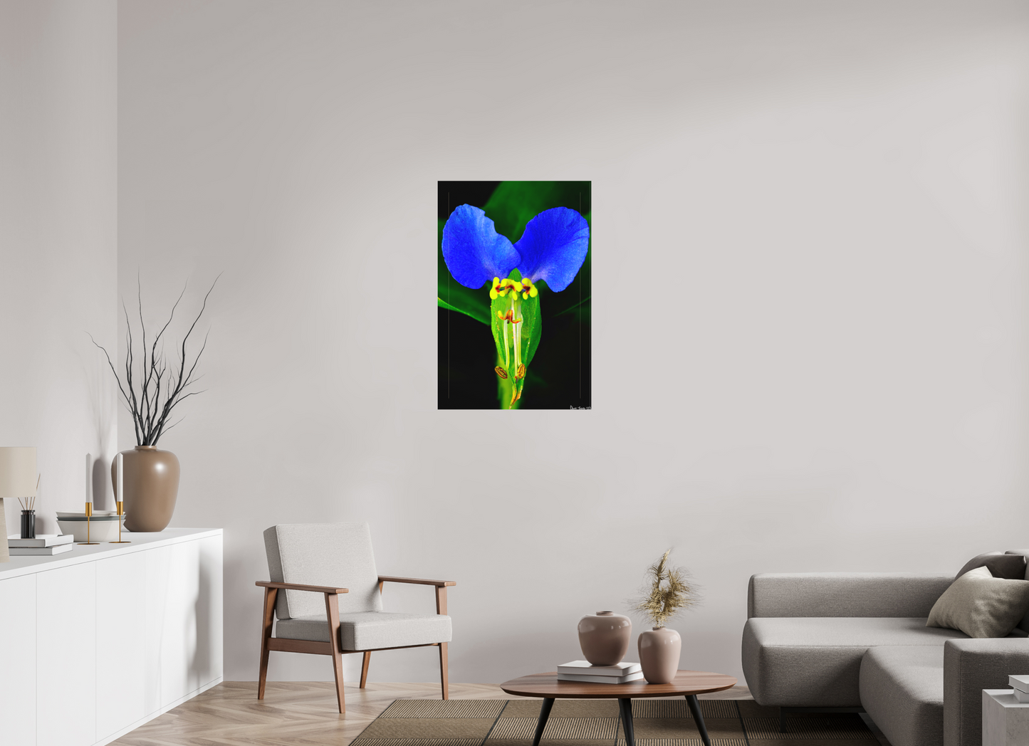 24 x 36″, Matte Canvas Asiatic Dayflower