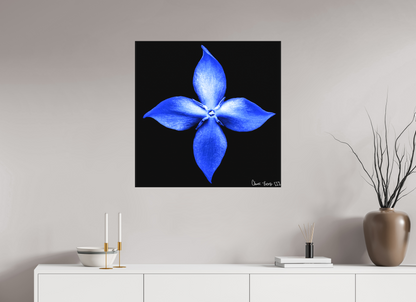 30 x 30″, Matte Canvas Halcyon Compass