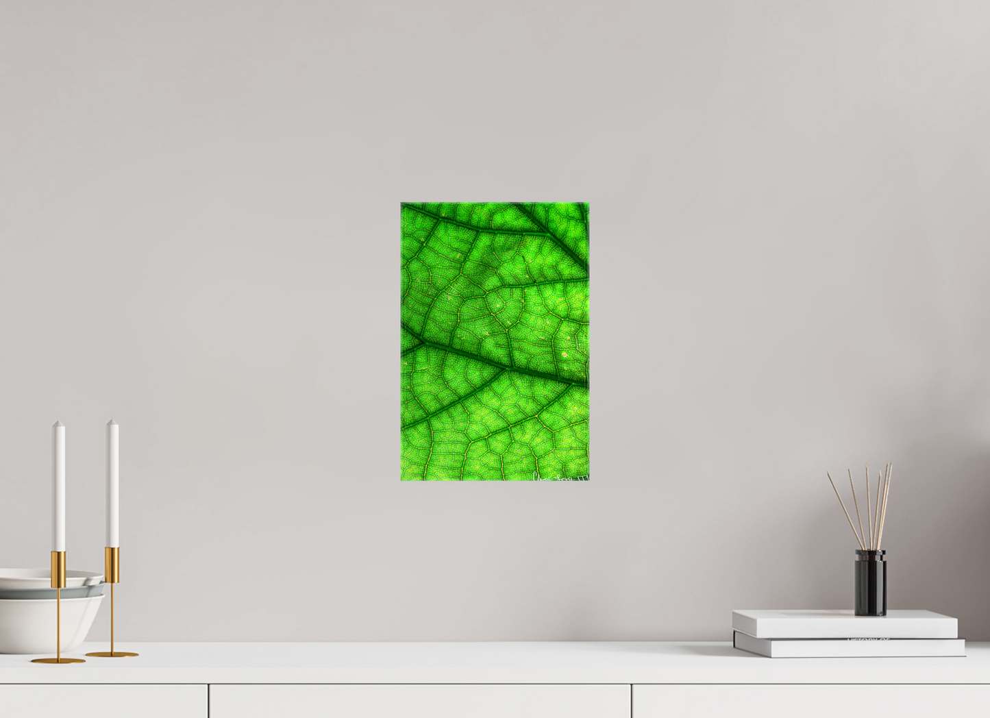 8 x 12″, Glossy Canvas River & Streams