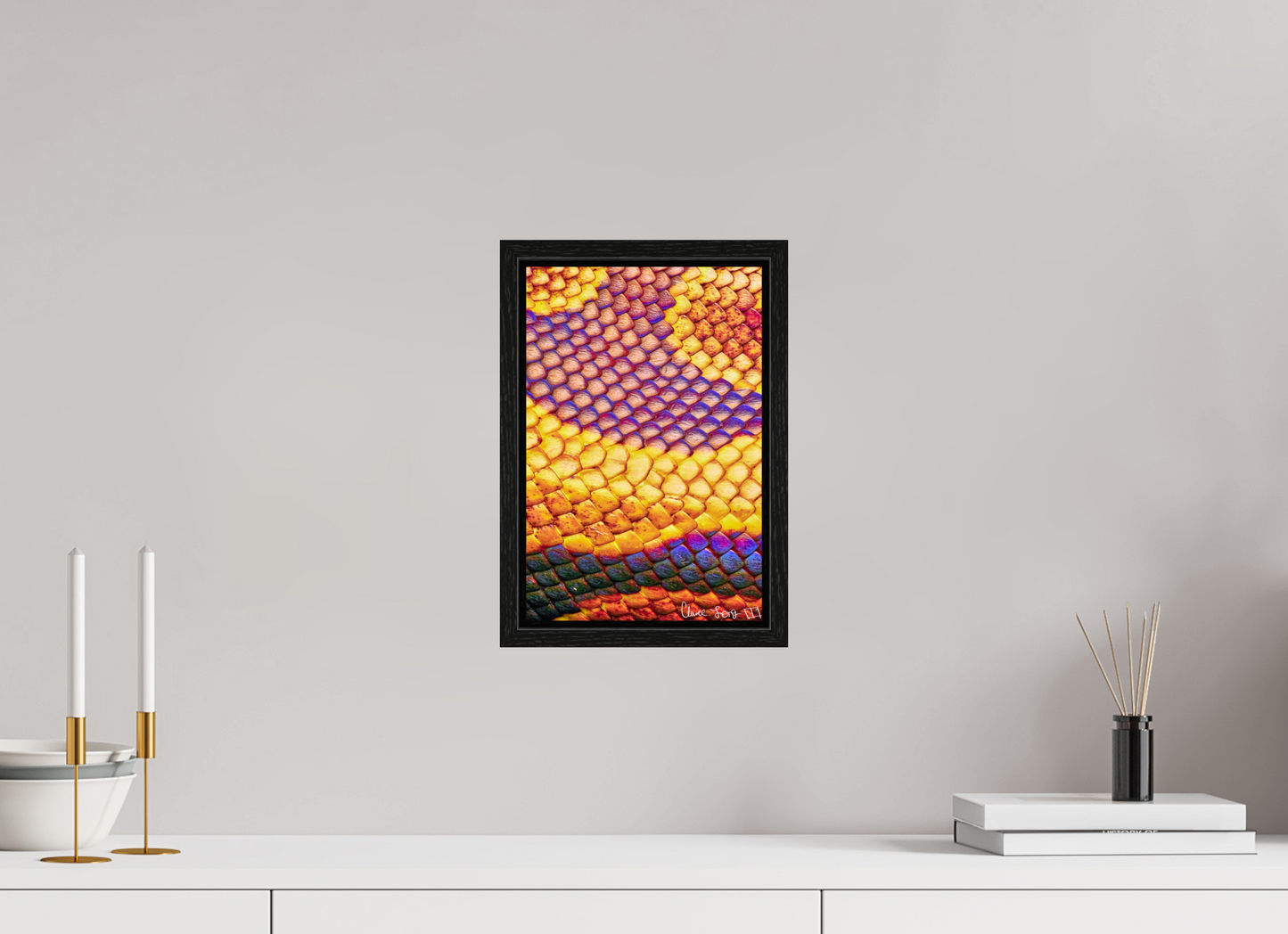 8 x 12″, Floater Frame Black Oak Python’s Iridescence