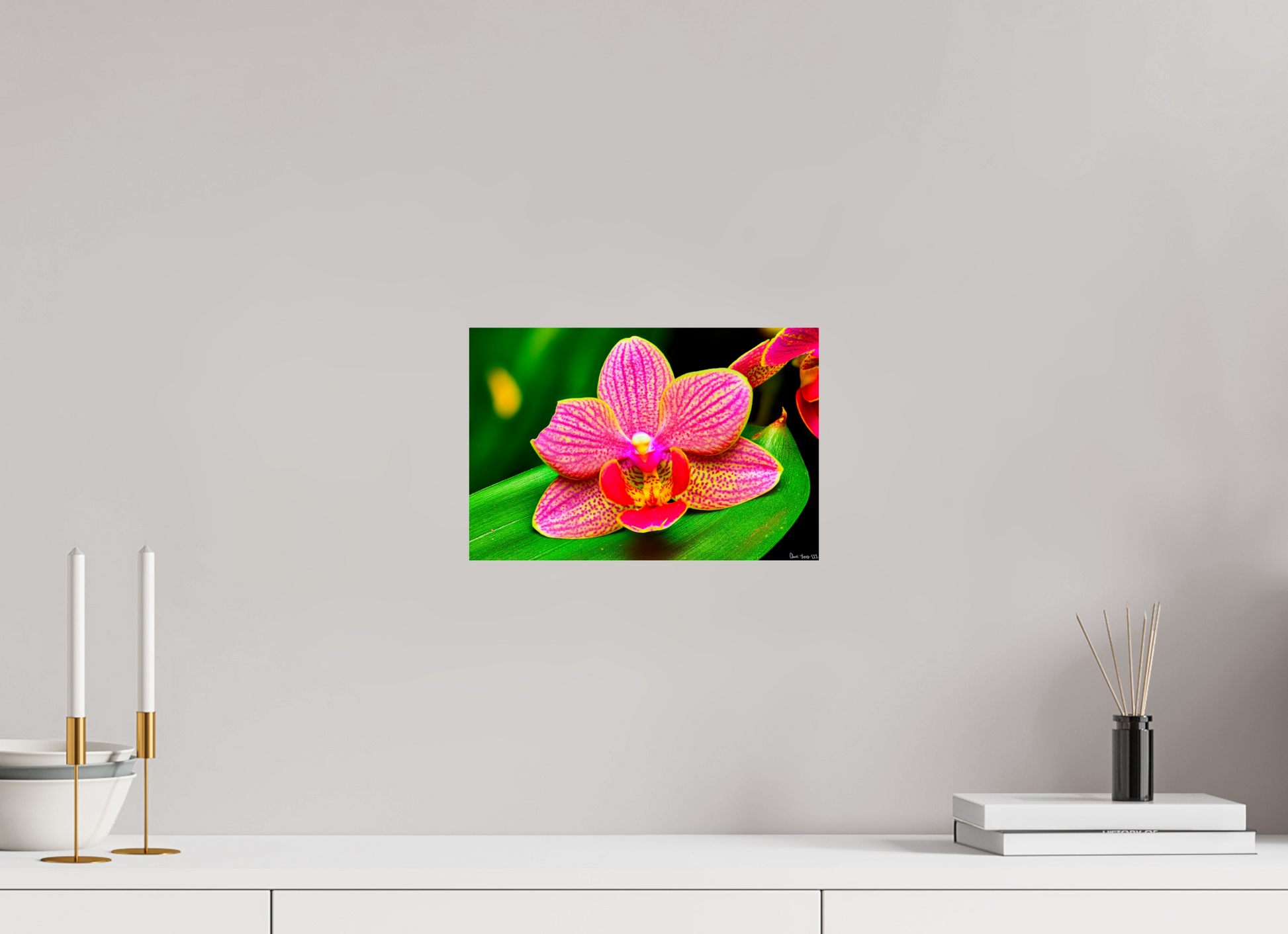 12 x 8″, Glossy Metal Vigorous Orchid