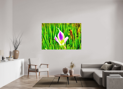66 x 44″, Matte Canvas Maverick