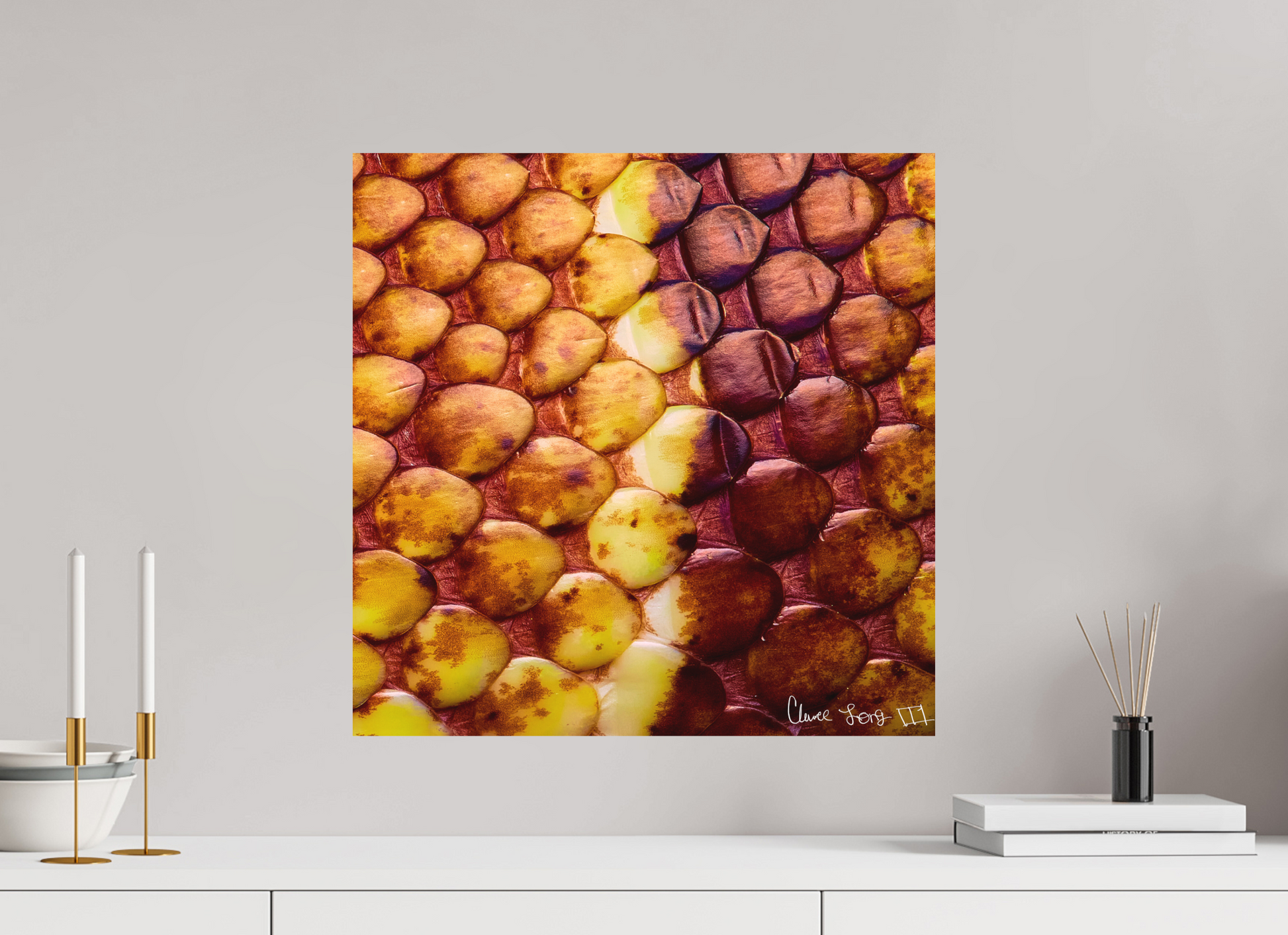 20 x 20″, Forex Reptilian Divide