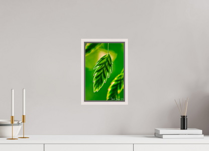 8 x 12″, Floater Frame Maple White Serrated Kunai