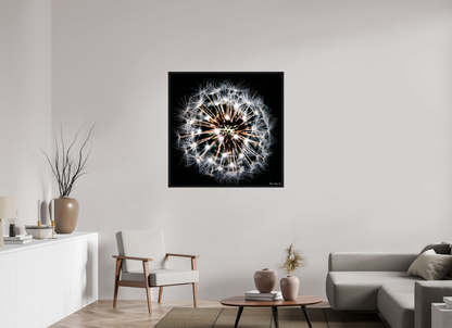 40 x 40″, Floater Frame Black Oak Starburst