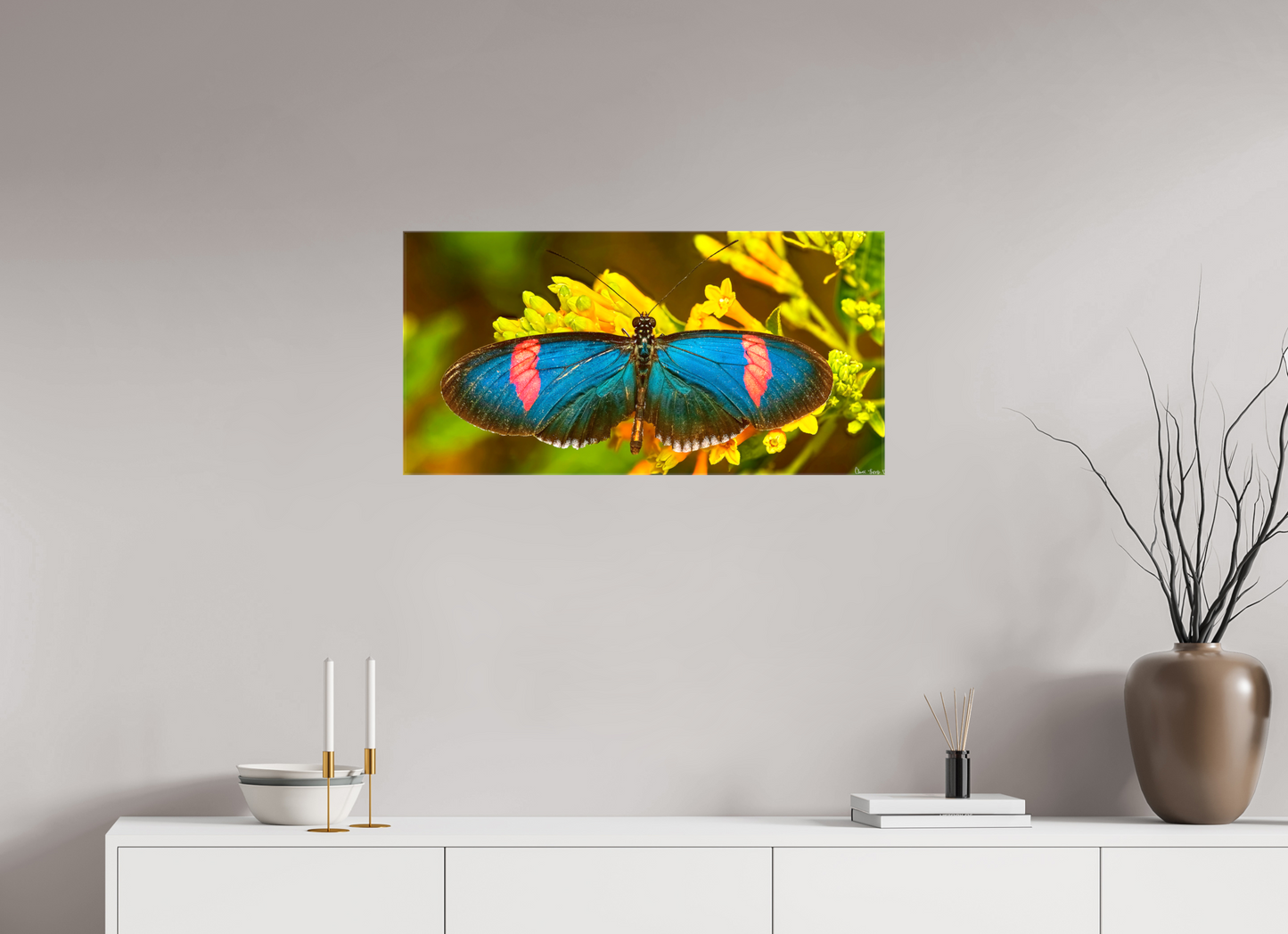 32 x 16″, Glossy Canvas Racing Stripes