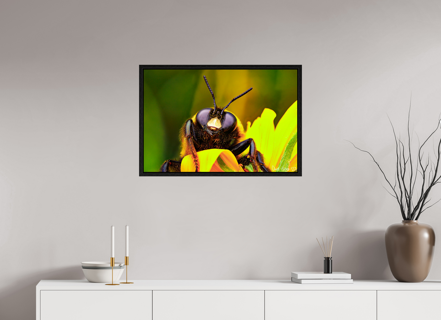 30 x 20″, Floater Frame Black Oak The Curious Bumblebee