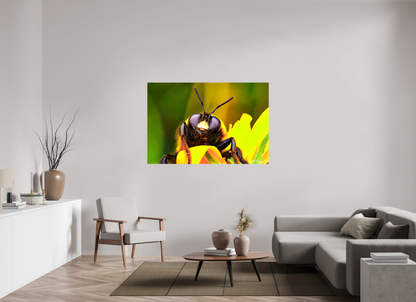 60 x 40″, Glossy Canvas The Curious Bumblebee