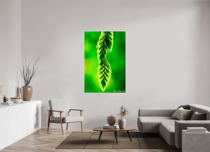 40 x 60″, Glossy Canvas Harmonic Trinity