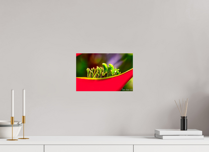 12 x 8″, Glossy Metal Utopia