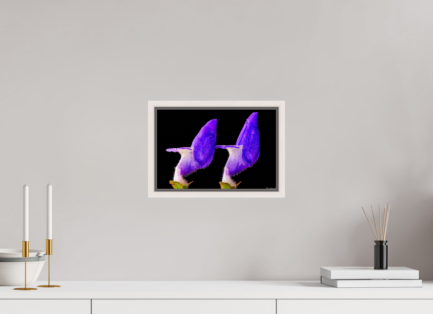 12 x 8″, Floater Frame Maple White Coleus Barbatus