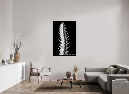 36 x 54″, Floater Frame Black Oak Vertebrae