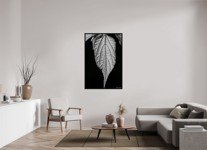 36 x 54″, Floater Frame Black Oak Reticulate Venation
