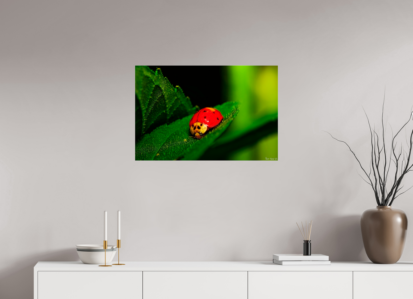 30 x 20″, Acrylic Our Lady Bird