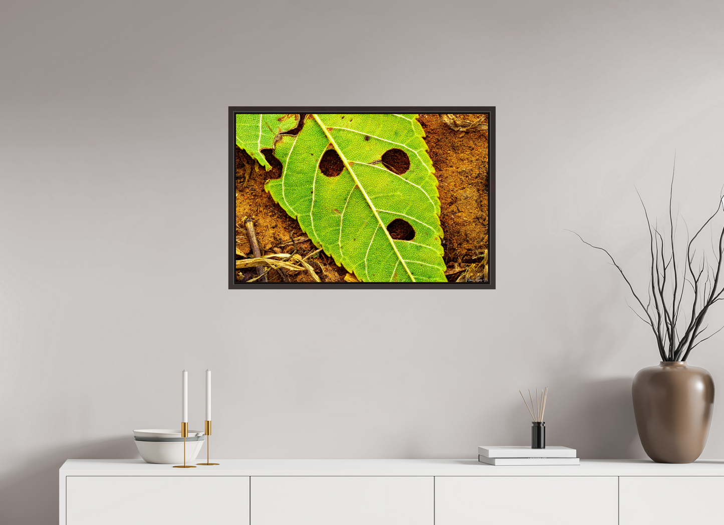 30 x 20″, Floater Frame Alder Brown Flabbergasted