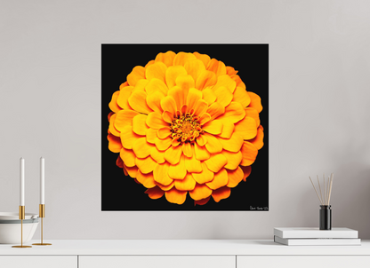 20 x 20″, Matte Metal Midnight Sun
