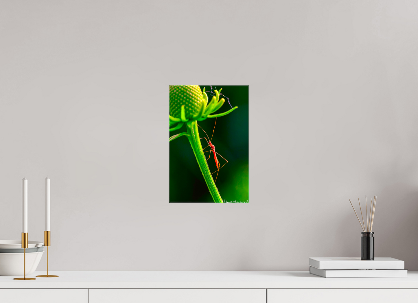 8 x 12″, Glossy Canvas Reaching the Apex