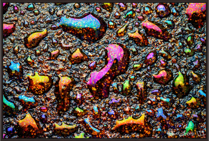 Main image Homage to My Adolescence